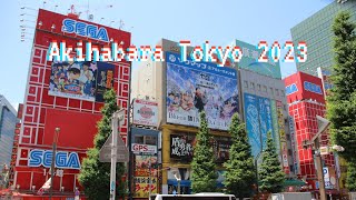 Wandering Akihabara: Unveiling Tokyo's Electric Town | A Virtual Walking Tour