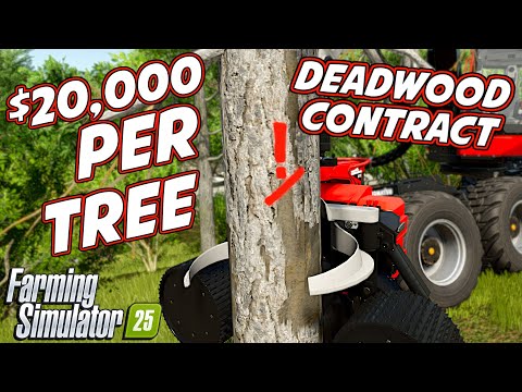 How To Make $20,000+ PER Deadwood Tree