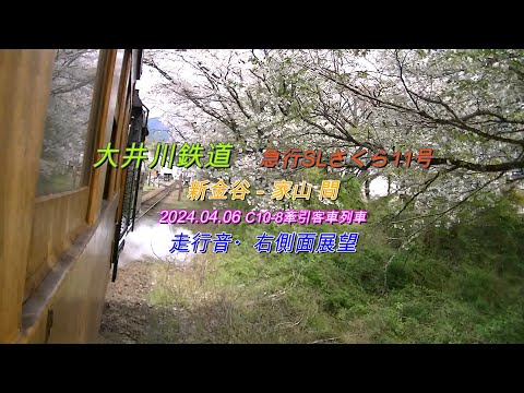 2024 04 06　大井川鉄道　SLさくら11号　列車走行音・右側車窓動画( 一部静止画 )