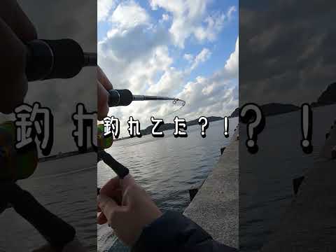 ガイドがあらぬ方向に。なおしたら勝手にイカが釣れていた？！