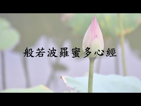 心經~木魚版（含迴向文）法鼓山標準的唱誦方法。萍萍