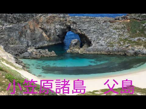 小笠原諸島　父島