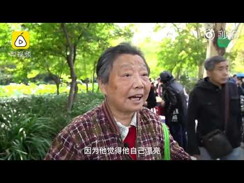 相亲界的一股清流！儿子找女友只求漂亮，亲妈回怼：他觉得自己帅，我觉得一般性