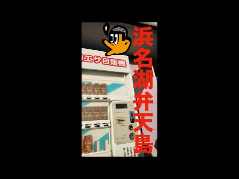 #Shorts [初心者釣り日記] 弁天島海浜公園近くのここに釣りエサ自販機あるよって教える初心者