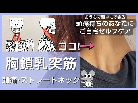 おうちで頭痛改善！胸鎖乳突筋のセルフケアストレッチ！