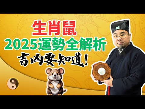 生肖鼠，2025乙巳蛇年流年運勢全解析！吉凶大揭秘！属鼠人必看！ #2025年生肖鼠運勢 #2025年生肖鼠運程 #2025年屬鼠運勢 #2025年屬鼠運程