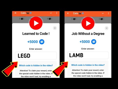 Job Without a Degree Cats Code | Learned to Code ! Cats | 16-17 December Cats All Video Codes Today