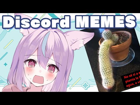 🌟Ecchi Japonesa reacciona a memes de LATAM🌟