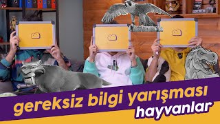 Gereksiz Bilgi Yarışması: Hayvanlar