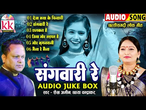 सुपरहिट्स छत्तीसगढ़ी गीत | Chhaya Chandrakar_Shekh Amin | संगवारी रे | Cg Song | AUDIO JUKEBOX 2024