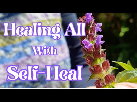 Healing All with Self-Heal