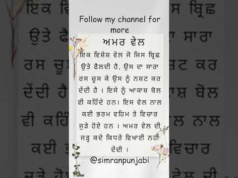 #punjabi #punjabiculture #punjab #punjabistory