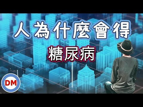 人為什麼會得糖尿病 【糖老大】