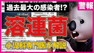 【緊急】溶連菌感染症について小児科専門医が解説‼【過去最大の感染者？】