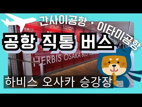 【오사카/공항 연락 버스】오사카 역 앞 버스 승강장 '허비스 오사카' 가는 방법