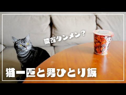 妻帰省中につき、愛猫に見守られながら納豆入り蒙古タンメンをすする【猫一匹と男ひとり飯】