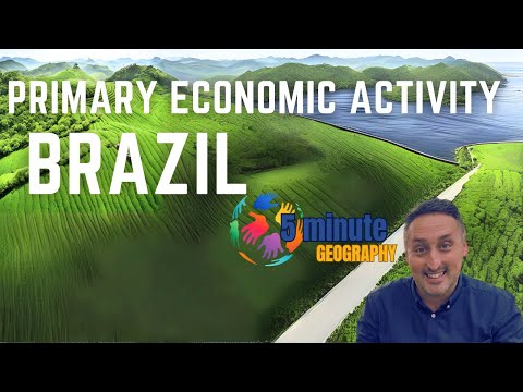 Brazil's Primary Economic Activity