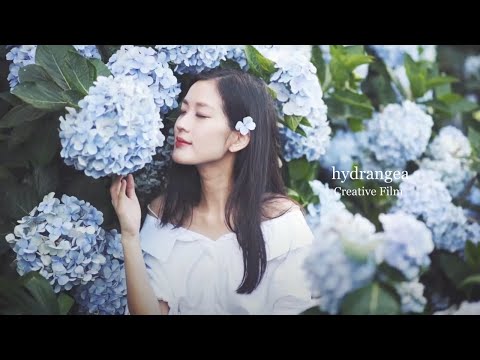 陽明山繡球花 Flowers for Newborn ｜ Creative Film