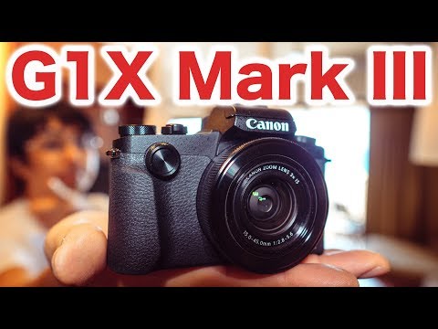 Canon G1X Mark III APS-Cコンデジで80Dスペック？映像テスト - ケンジさんVLOG_120