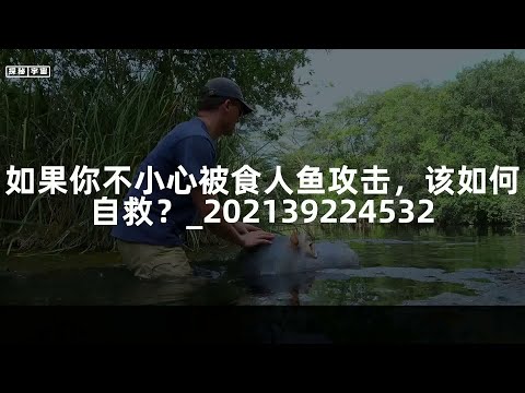 如果你不小心被食人鱼攻击，该如何自救？_202139224532