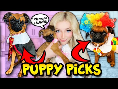 My Puppy Chooses Her Halloween Costumes! (CUTE!)