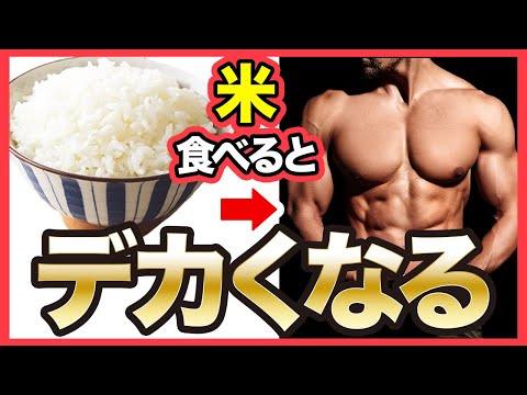 【筋肥大】筋肉をデカくしたいなら米を食べるべき理由