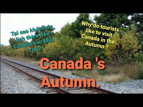 CANADA 🇨🇦 :Let's enjoy the Autumn scenery - Cùng ngắm cảnh Mùa Thu.