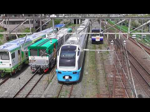 【横須賀線】特急鎌倉 E653系K71編成　2024.4.20