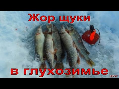 Как поймать щуку в глухозимье.