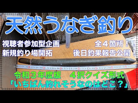 【令和３年度版】天然うなぎ釣り 視聴者参加型企画 新規釣り場 4択クイズ どこが1番釣れそうですか〜　小河川特集