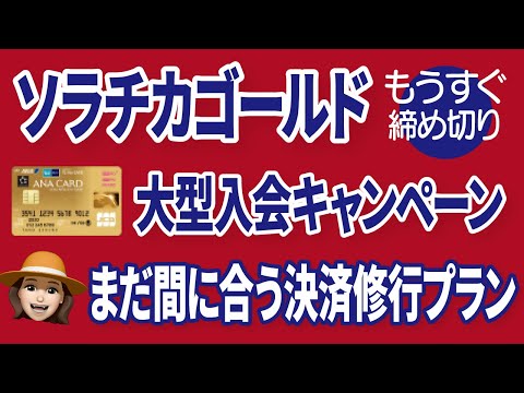 【9月30日で申し込み終了】ANAカードキャンペーン参加は今からでも間に合うか