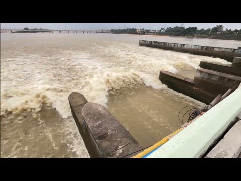 Cuttack Mahanadi ॥ Cuttack Mahanadi River ॥ #viral #trending #ytshort #shortsfeed