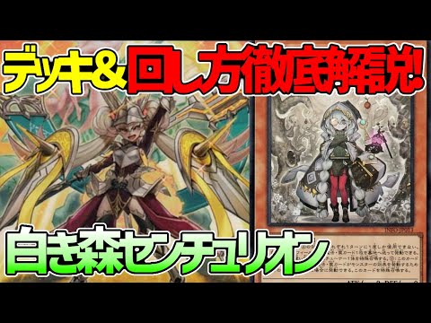 【#遊戯王】かみ合い◎バロネス＋2回皆既日食は地獄すぎ！『白き森センチュリオン』徹底解説＆デッキレシピ！！【#デュエダン】