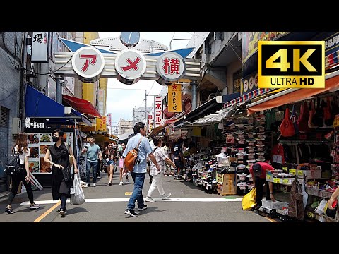 Ueno, Tokyo - Ameyoko/Ueno Park/Torii gate