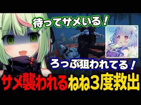 サメに襲われるねねを３度も救出するろっぷ【日ノ隈らん / ストグラ 切り抜き】