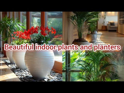 indoorplants   | indoorplantlover | indoorplantsideas | indoorplant | indoorplanters | plants