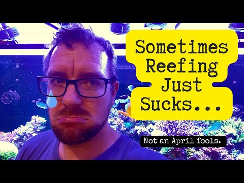 Sometimes reefing really sucks......