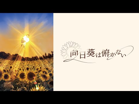 【作業用BGM】向日葵は俯かない / 幻想世界の音楽たち