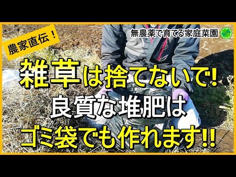 【雑草堆肥】超簡単！ポリ袋を使って雑草を堆肥にする方法【有機農家直伝！無農薬で育てる家庭菜園】　24/12/19