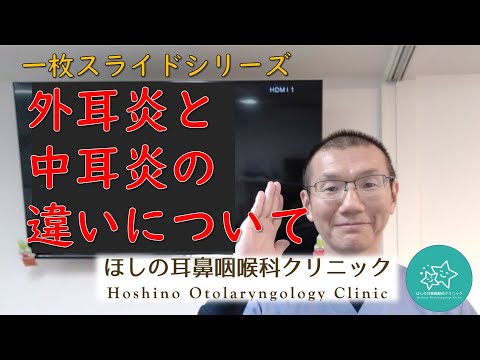 外耳炎と中耳炎の違いについて