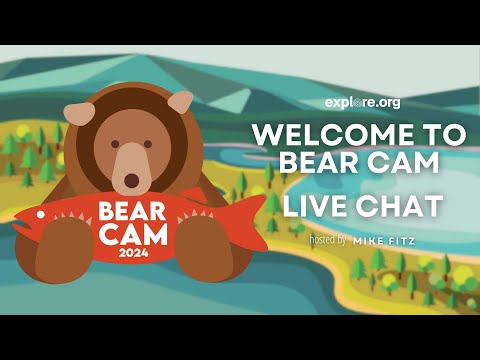 Welcome to Bear Cam 2024 | Brooks Live Chat