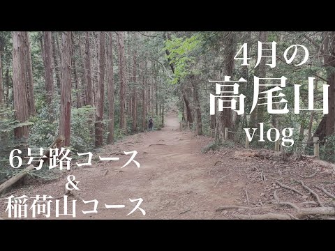 【高尾山】稲荷山／6号路コース　自宅で育てた野菜を収穫して登山に行きました