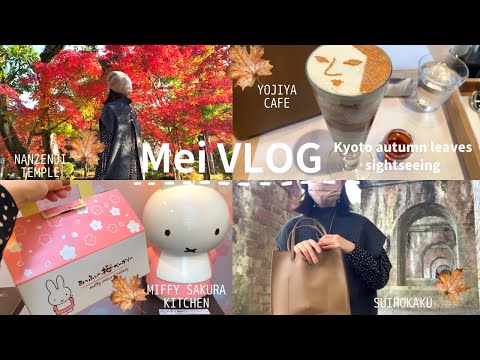 【京都vlog】紅葉を見に京都日帰り旅🍁|みっふぃーきっちんでミッフィーパンをパン🍞| 🍁Kyoto autumn leaves sightseeing🍂