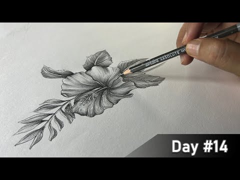 Free Hand Flower Drawing || Drawing for Beginners - Day 14  || 100 Days Challenge