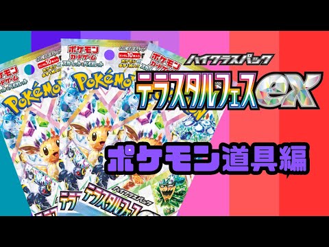 テラスタルフェス　ポケモン道具編