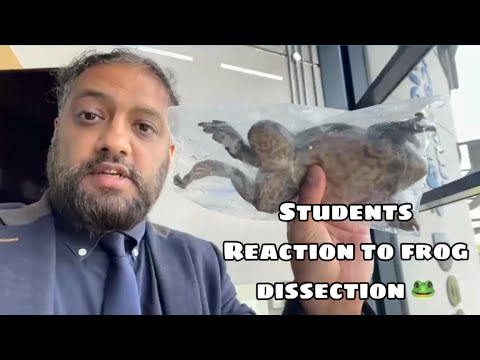 Student’s Scream During a Dissection! || School Frog Practical