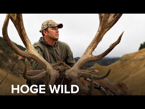 Silvercore Podcast Ep. 71: Hoge Wild