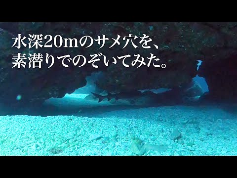 サメ穴を覗く｜沖縄の穴場シュノーケリングビーチ「アポガマ」でスキンダイビング（202201）