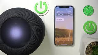 How to Pause Music Using Speaker on APPLE Homepod 2