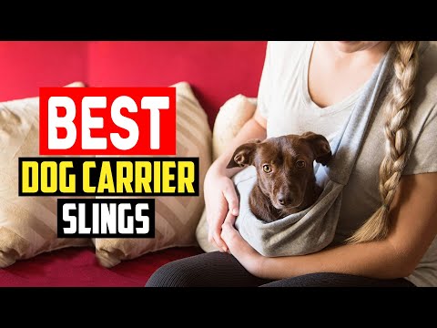 ✅Top 5 Best Dog Carrier Slings in 2023